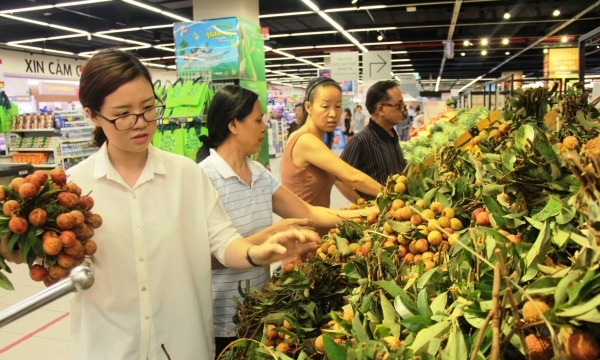 Lotte Mart tăng thu mua vải thiều cho nông dân